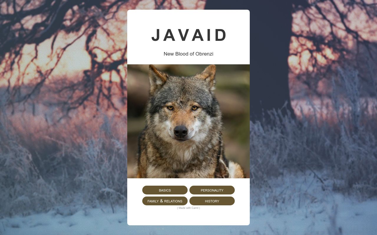 Carrd profile picture for @javaid